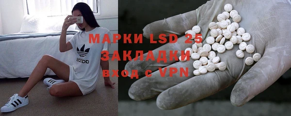 apvp Алзамай