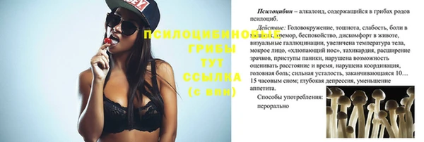 гашик Абаза