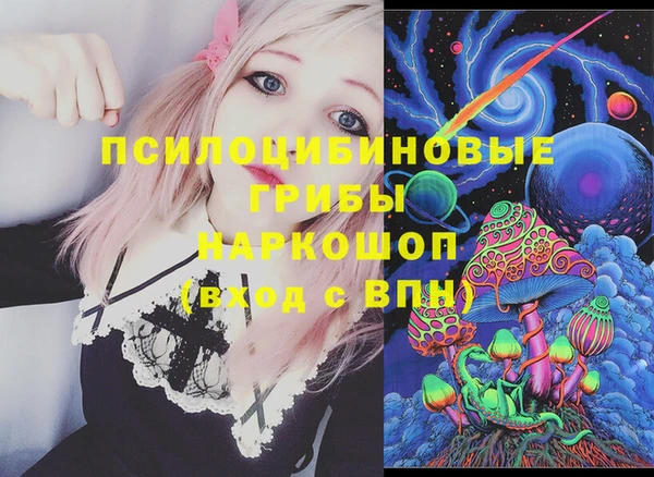 гашик Абаза